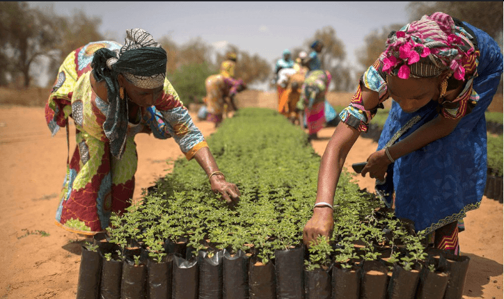 Membres du FDS lors d'une assemblée participative